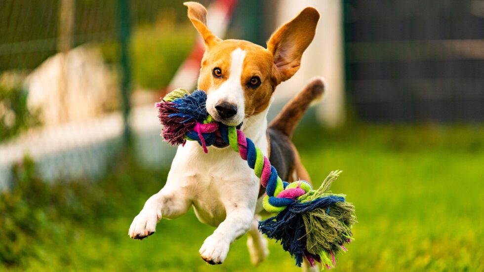 Photo inspiration: Gallery Detail: The Importance Of Regular Exercise For A Happy And Healthy
